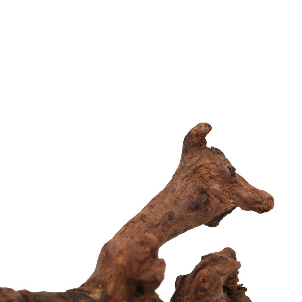 Creative Irregular Shape Coral - Aquarium Fish Hide recensie en prijs