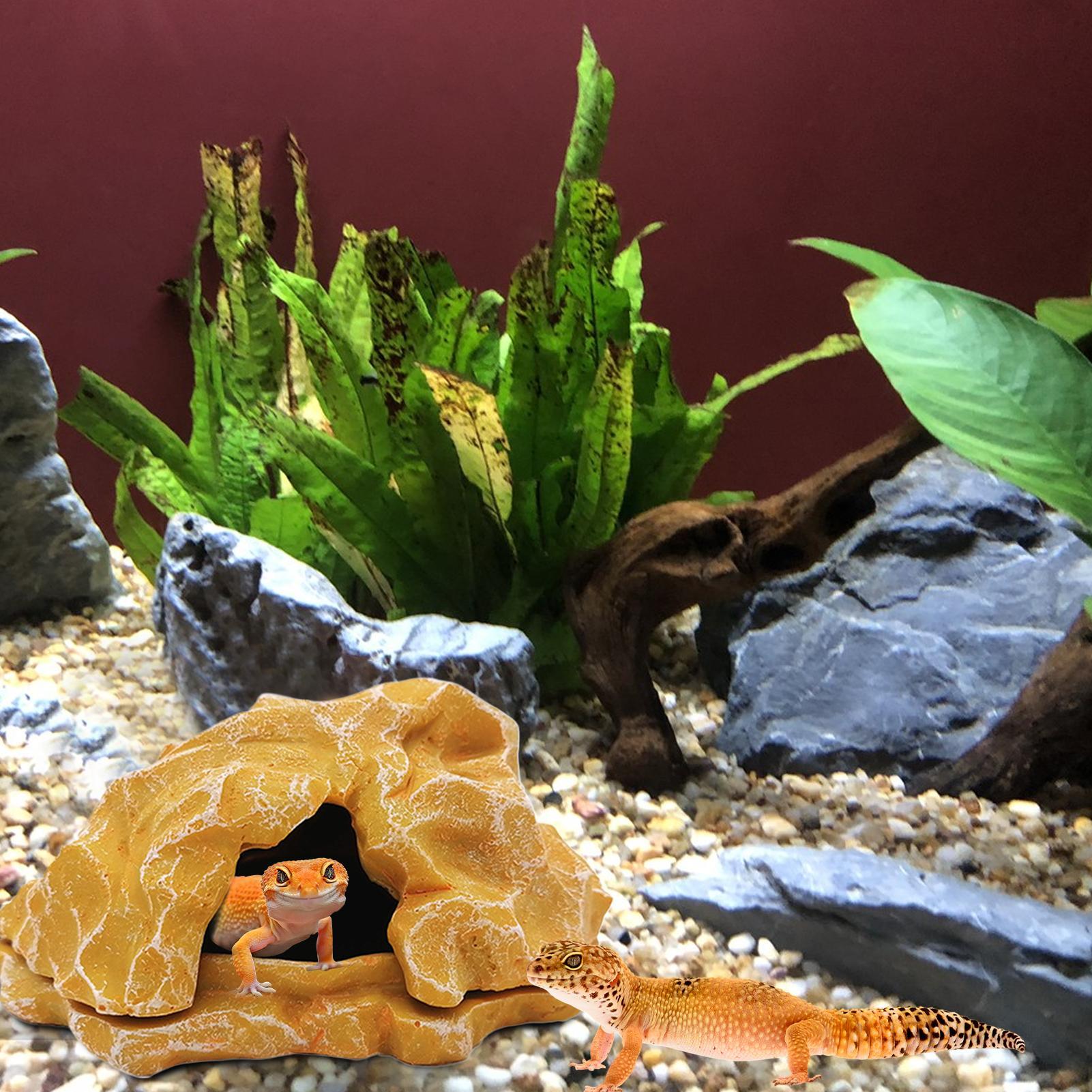 Lizard House Terrarium Resin F - Aquarium Decoration Rock recensie en prijs