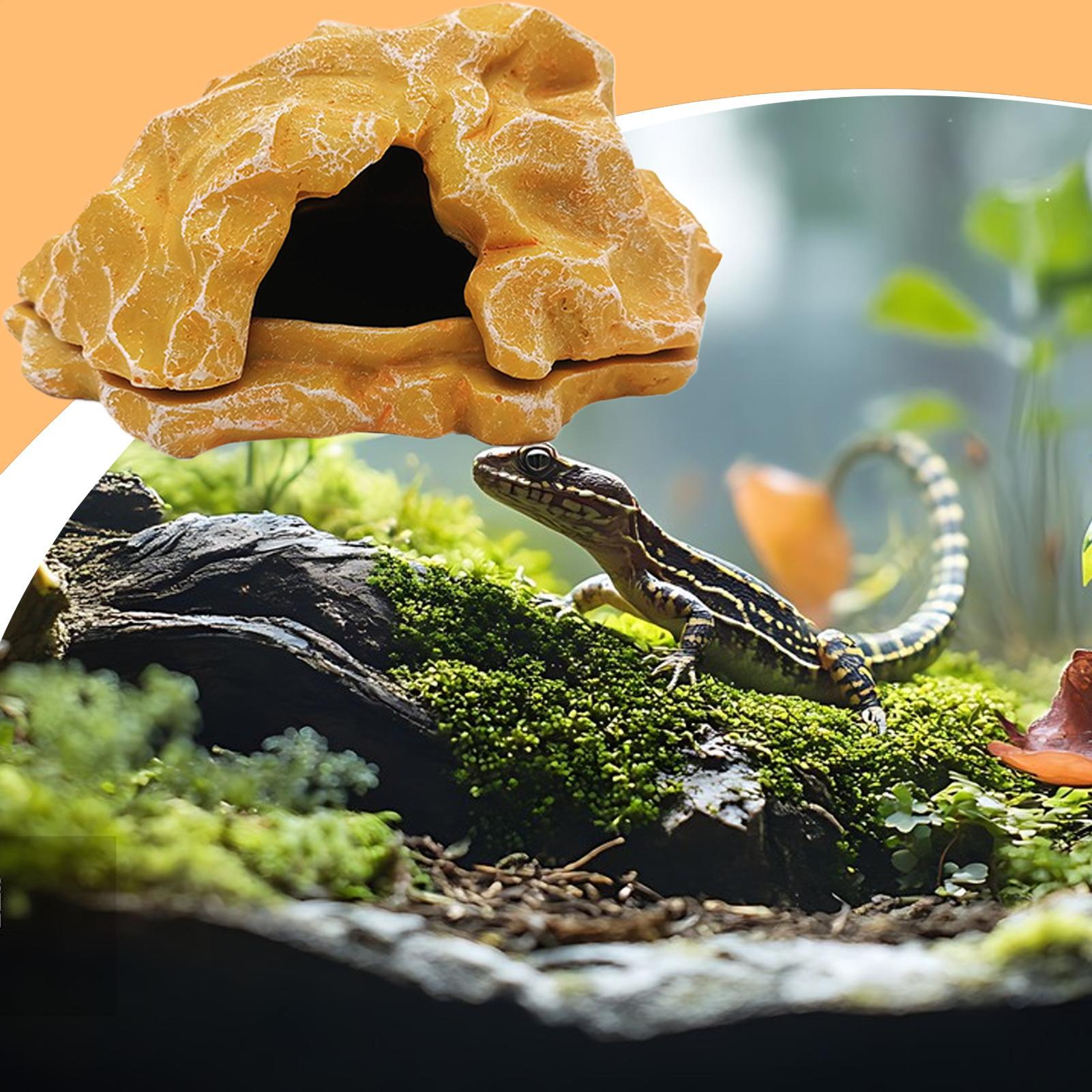 Lizard House Terrarium Resin F - Aquarium Decoration Rock recensie en prijs