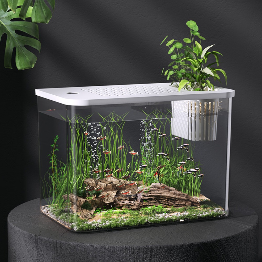 PET+ABS Fish Tank Transparent  - Aquarium Fish For Sale recensie en prijs