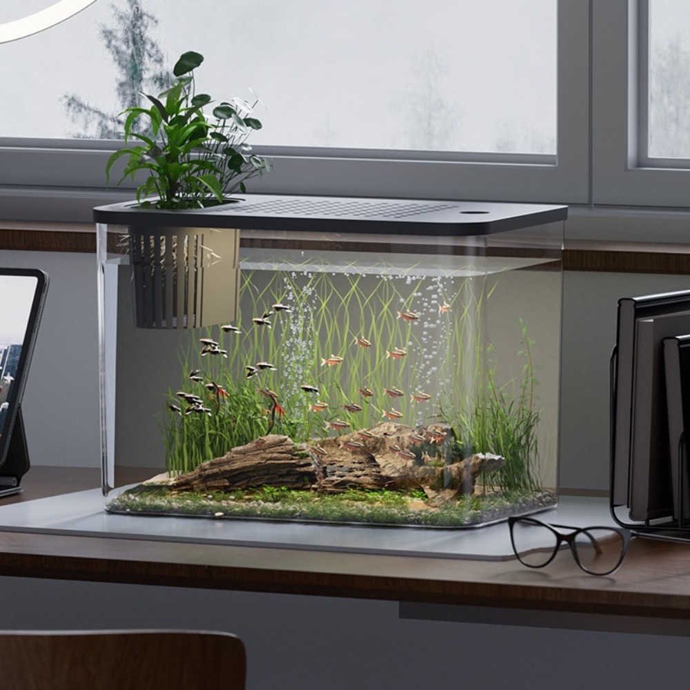PET+ABS Fish Tank Transparent  - Aquarium Fish For Sale recensie en prijs