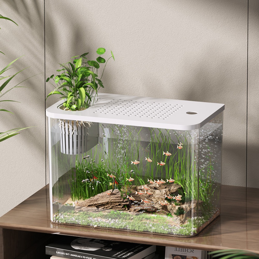 PET+ABS Fish Tank Transparent  - Aquarium Fish For Sale recensie en prijs
