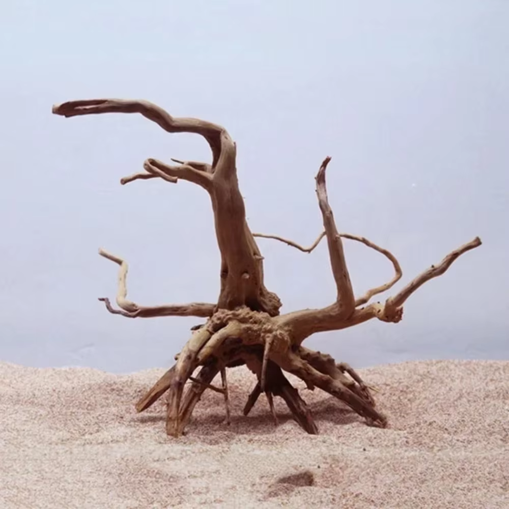 15-20CM Natural Driftwood Aqua - Aquarium Fish Gallery recensie en prijs