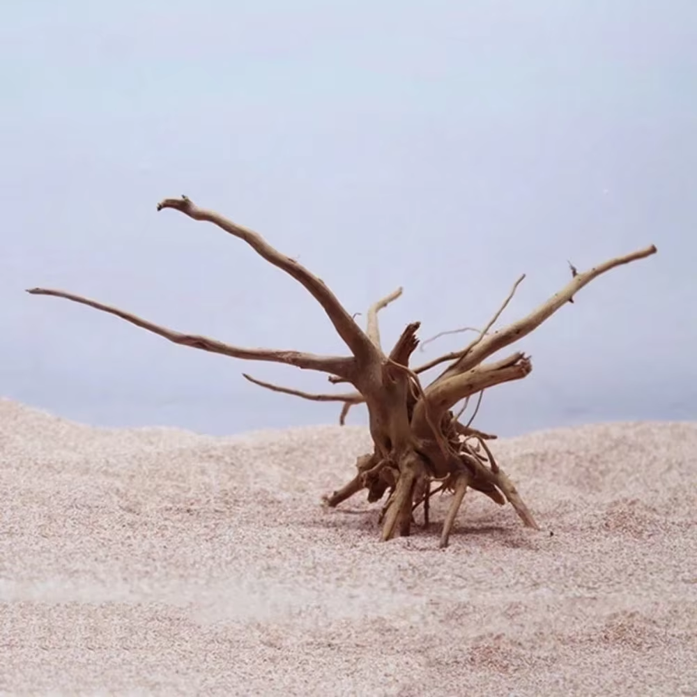 15-20CM Natural Driftwood Aqua - Aquarium Fish Gallery recensie en prijs