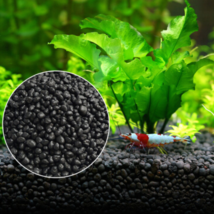 Aquarium Plant Seeds Soil Fish - Aquarium Fish Gallery recensie en prijs