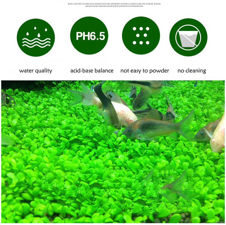 Aquarium Plant Seeds Soil Fish - Aquarium Fish Gallery recensie en prijs