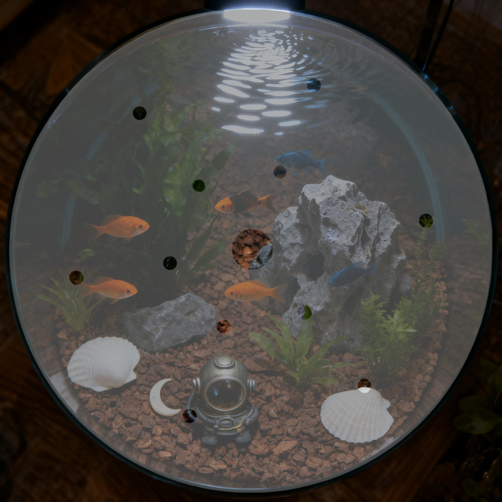 Round Acrylic Aquarium Anti-Es - Aquarium Fish Jumping recensie en prijs
