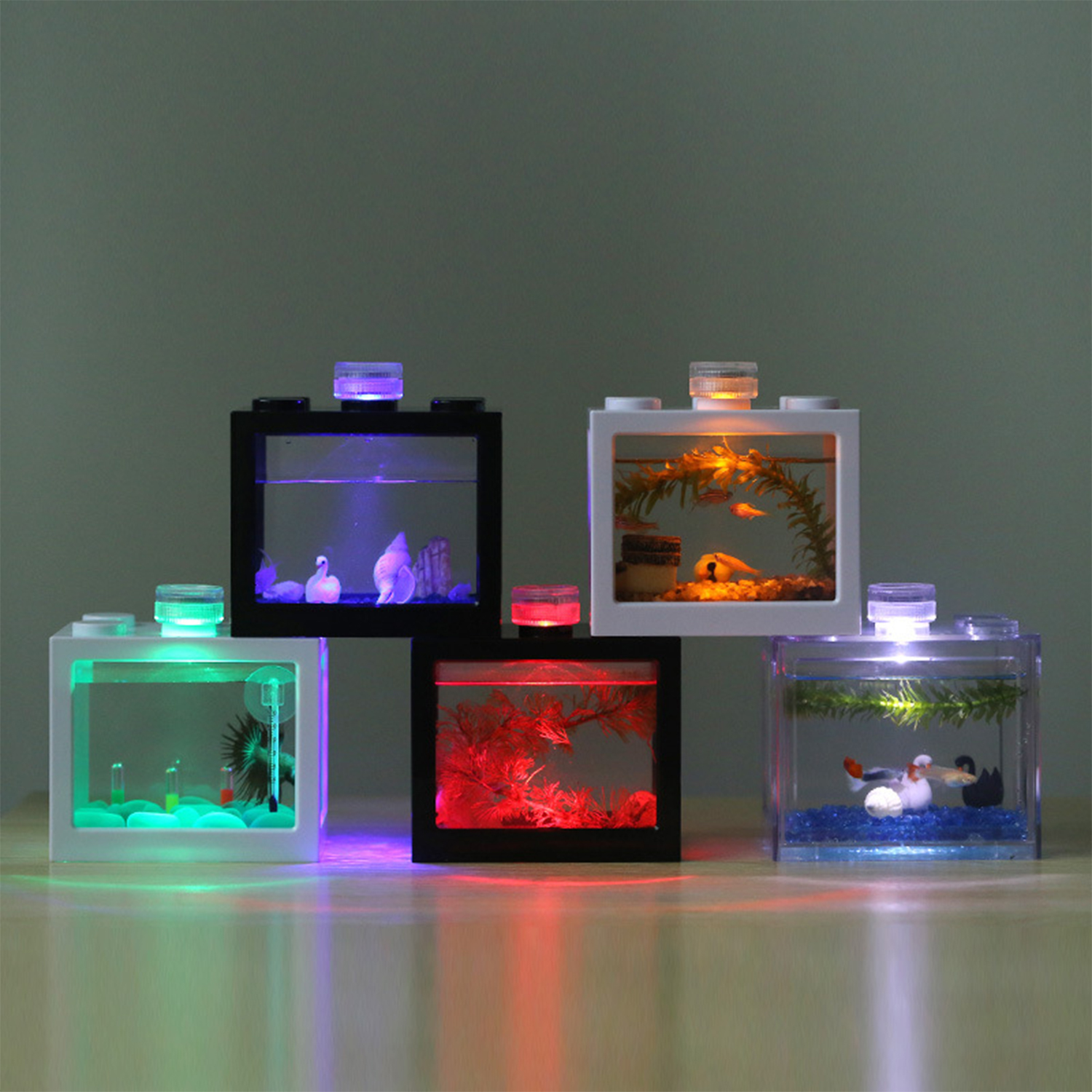 Plastic Betta Fish Tank  Aquar - Aquarium Fish Betta recensie en prijs