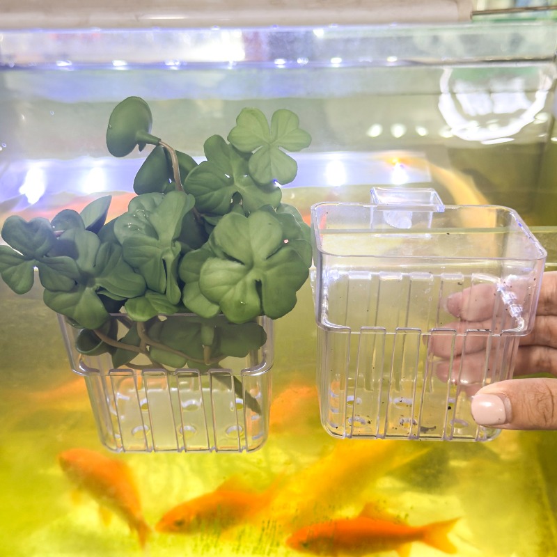 1/5pcs Aquarium Decoration Pla - Aquarium Fish Gallery recensie en prijs