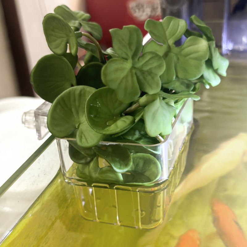 1/5pcs Aquarium Decoration Pla - Aquarium Fish Gallery recensie en prijs