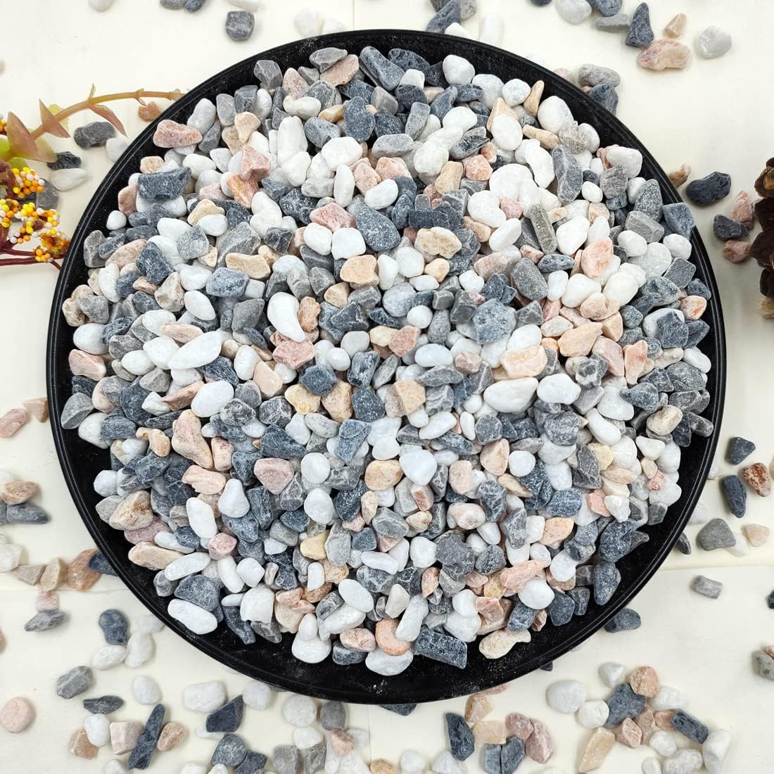 2LB Succulent and Cactus Grave - Aquarium Decoration Rock recensie en prijs