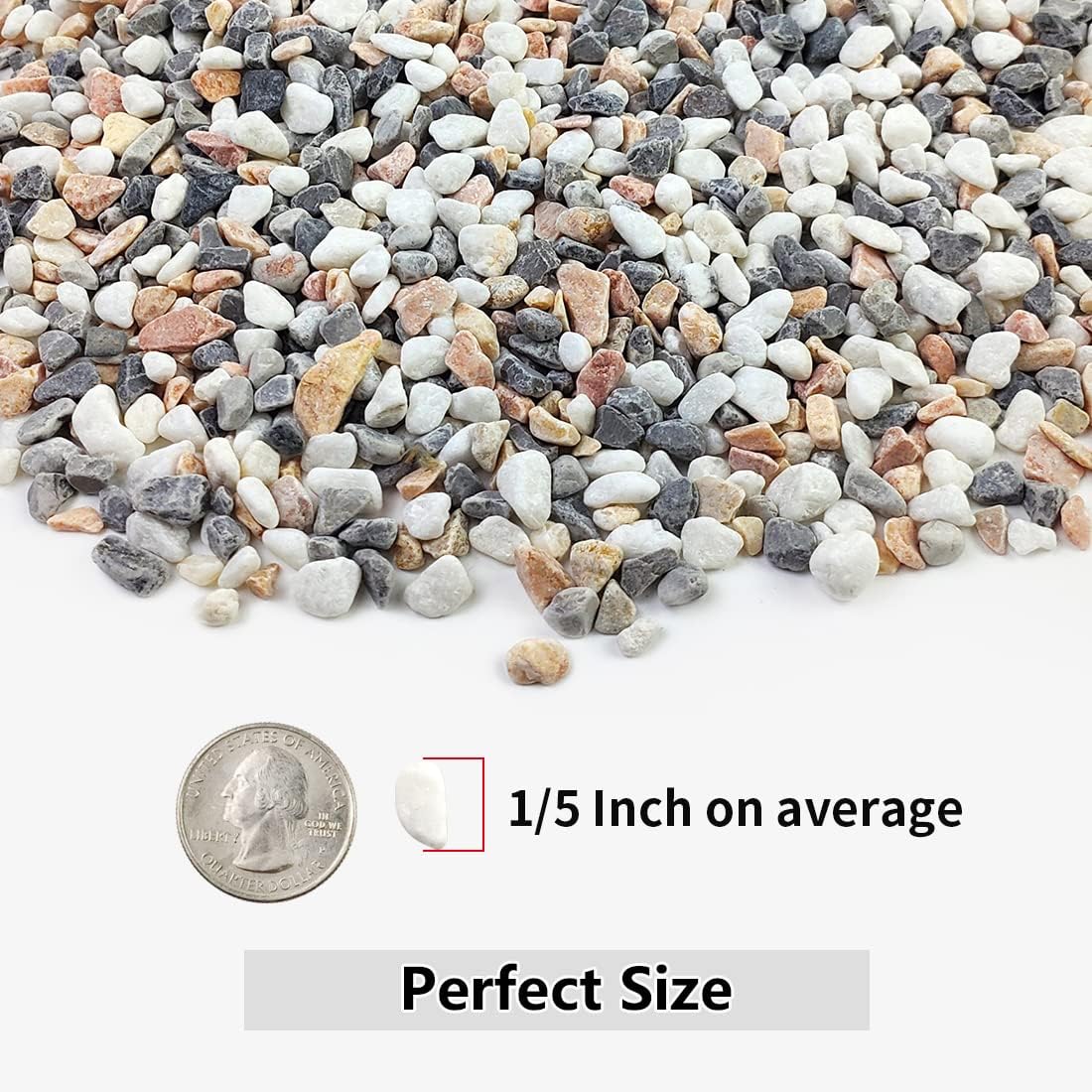 2LB Succulent and Cactus Grave - Aquarium Decoration Rock recensie en prijs