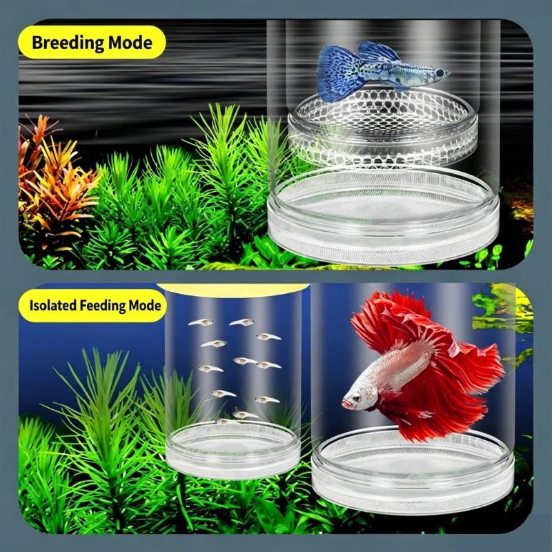 Transparent Floating Aquarium  - Aquarium Fish Betta recensie en prijs