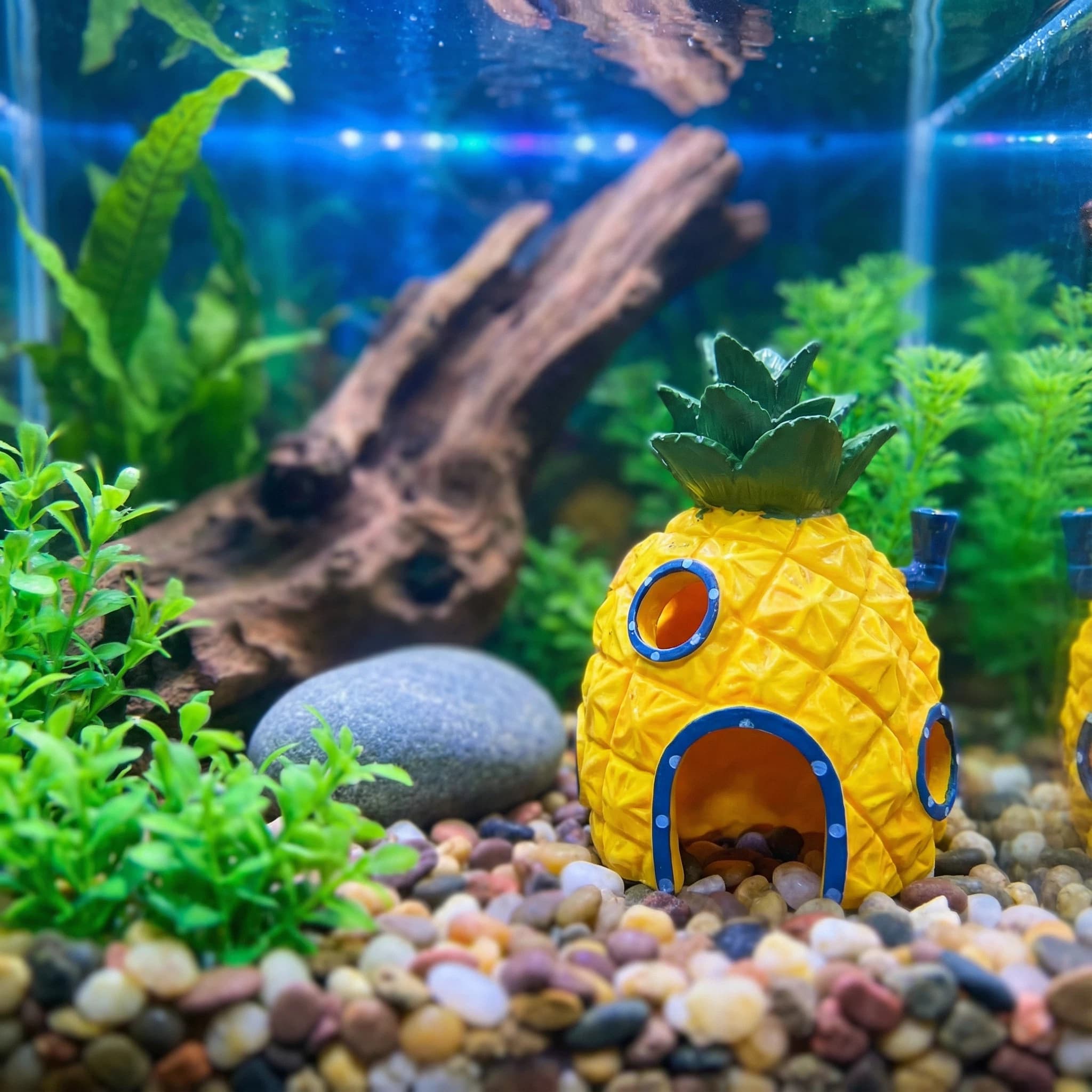 Pineapple House Aquarium Decor - Aquarium Fish Hide recensie en prijs