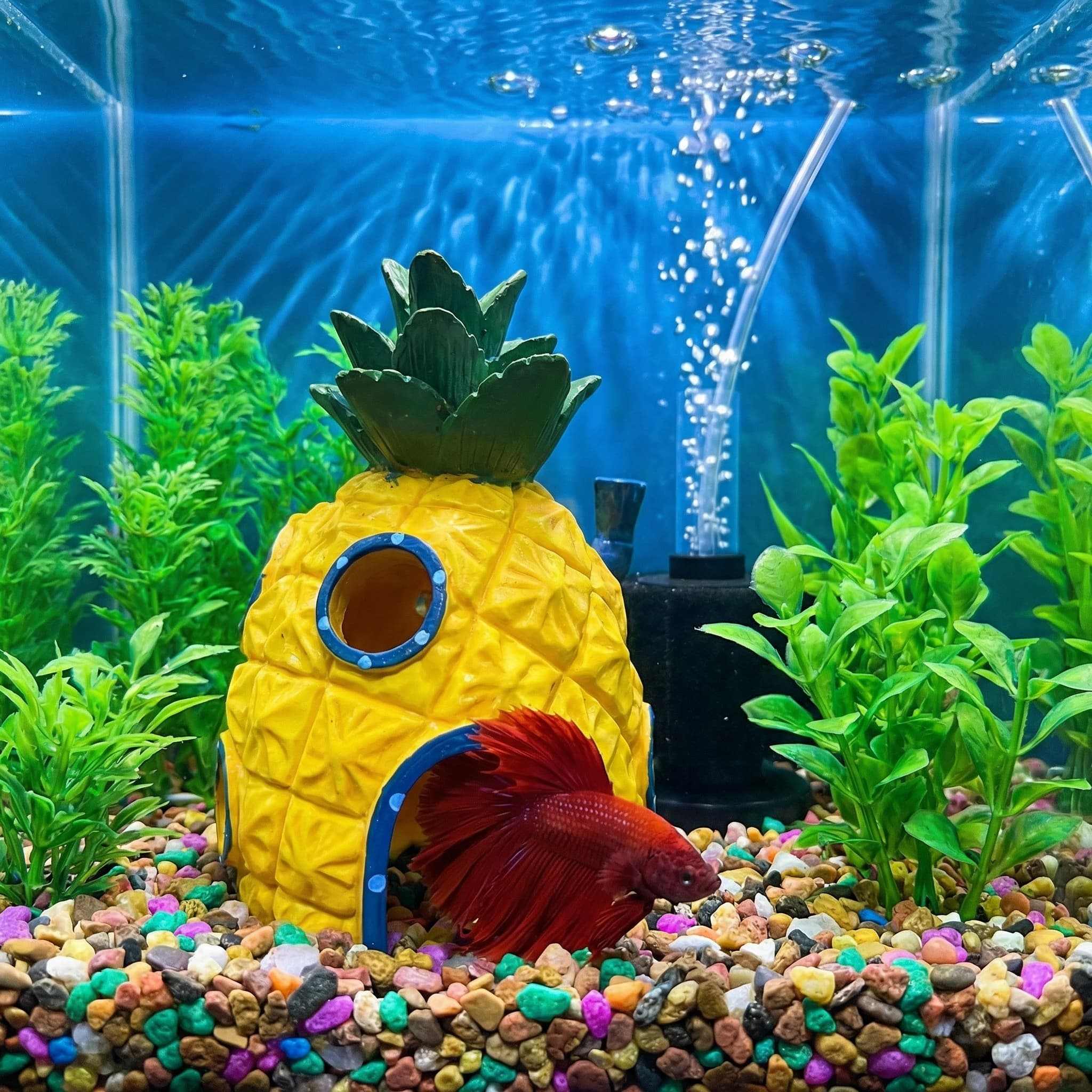 Pineapple House Aquarium Decor - Aquarium Fish Hide recensie en prijs