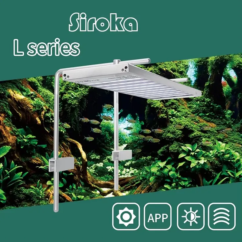 Hot Sale Silver 55W-110W Dimma - Aquarium Fish For Sale recensie en prijs