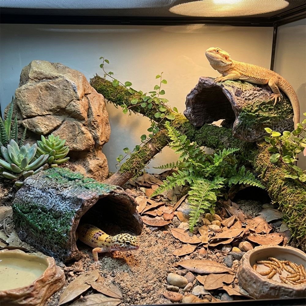 Simulation Reptile Hideout Hol - Aquarium Fish Hide recensie en prijs