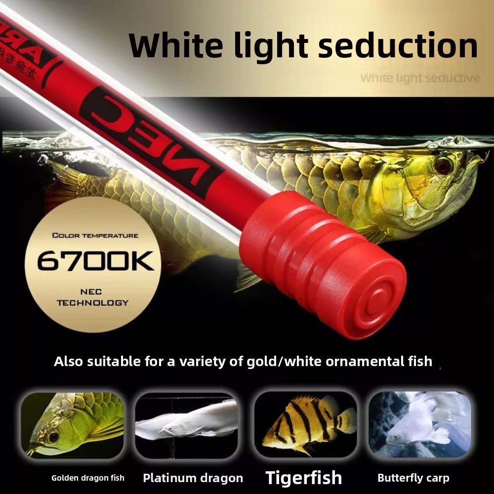 3 Primary Color Fish Tank Ligh - Aquarium Fish Goldfish recensie en prijs