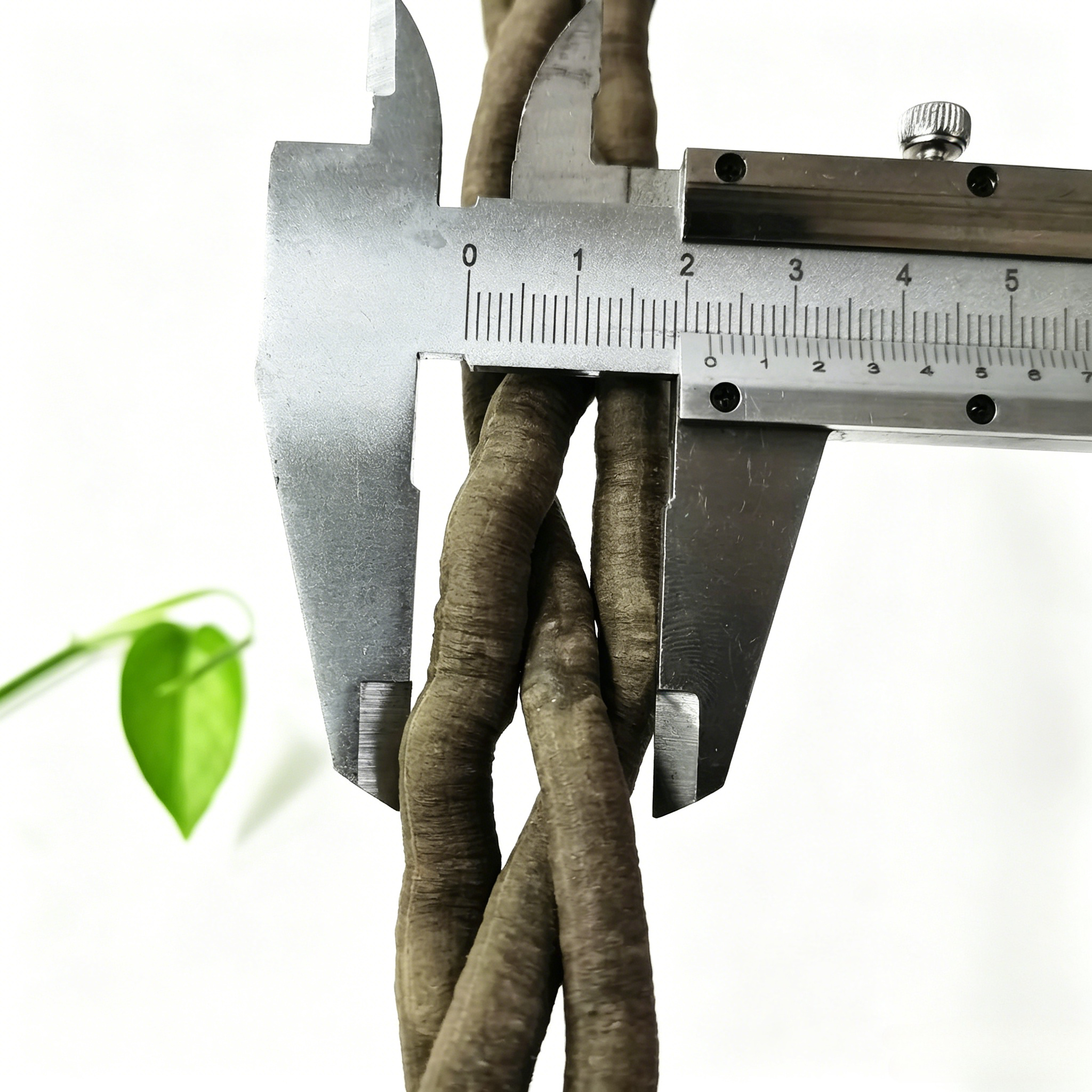 100cm Artificial Vine Plant Cl - Aquarium Fish Gallery recensie en prijs