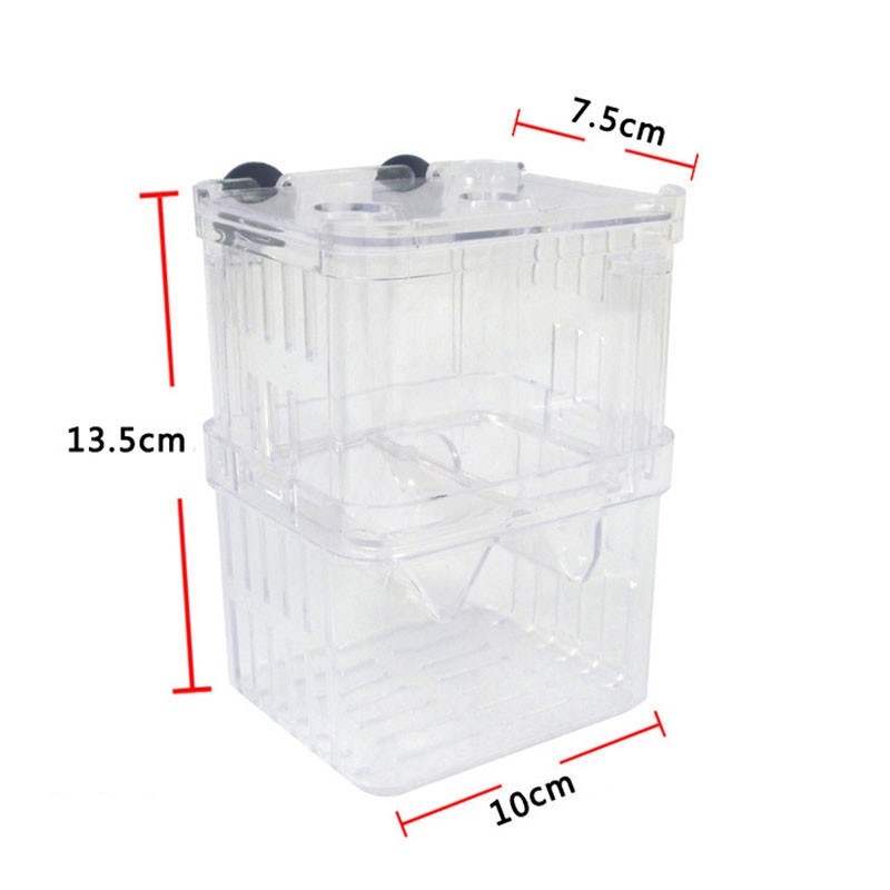 Peacock Fish Breeding Isolatio - Aquarium Fish Betta recensie en prijs