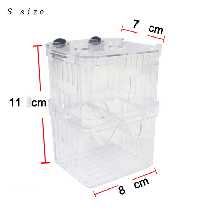 Peacock Fish Breeding Isolatio - Aquarium Fish Betta recensie en prijs
