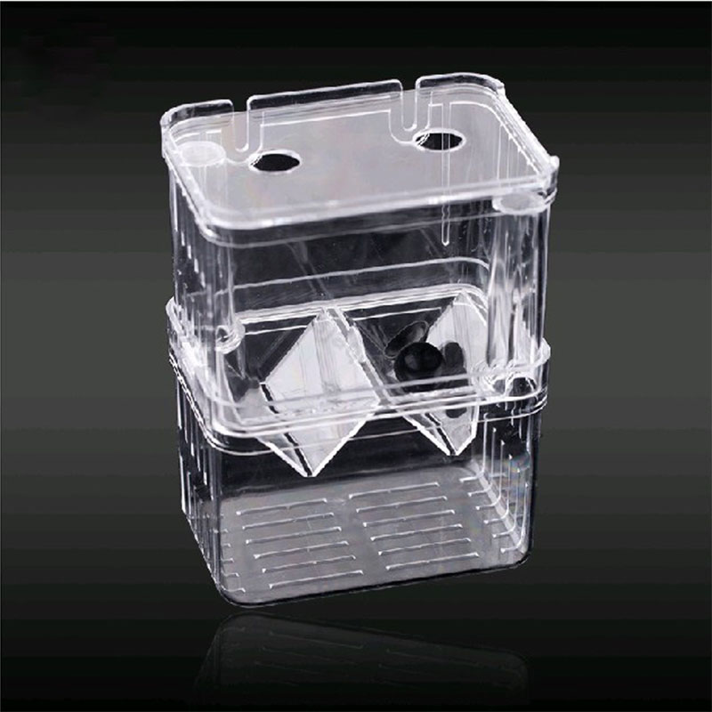 Peacock Fish Breeding Isolatio - Aquarium Fish Betta recensie en prijs