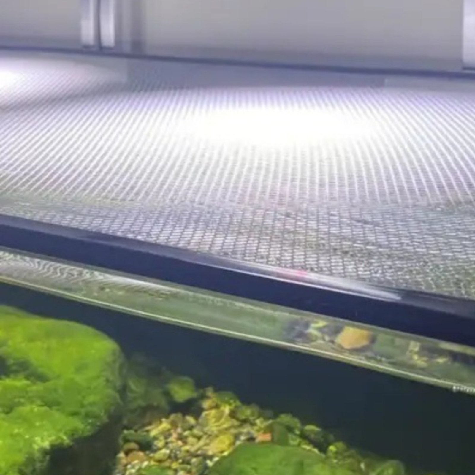 Fish Aquarium Net Cover Quick  - Aquarium Fish Jumping recensie en prijs