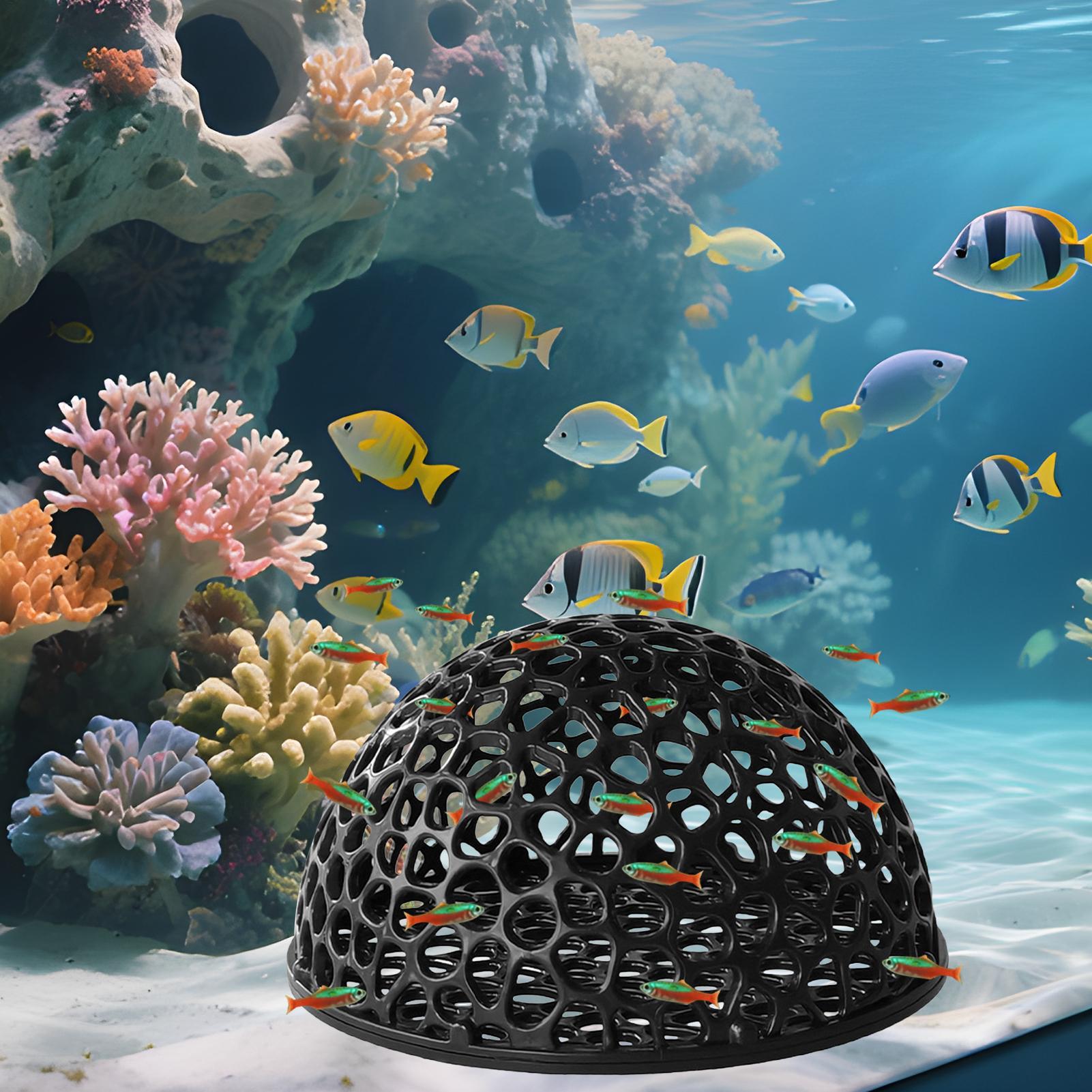 Aquarium shrimp house Cave Min - Aquarium Fish Hiding Spot recensie en prijs