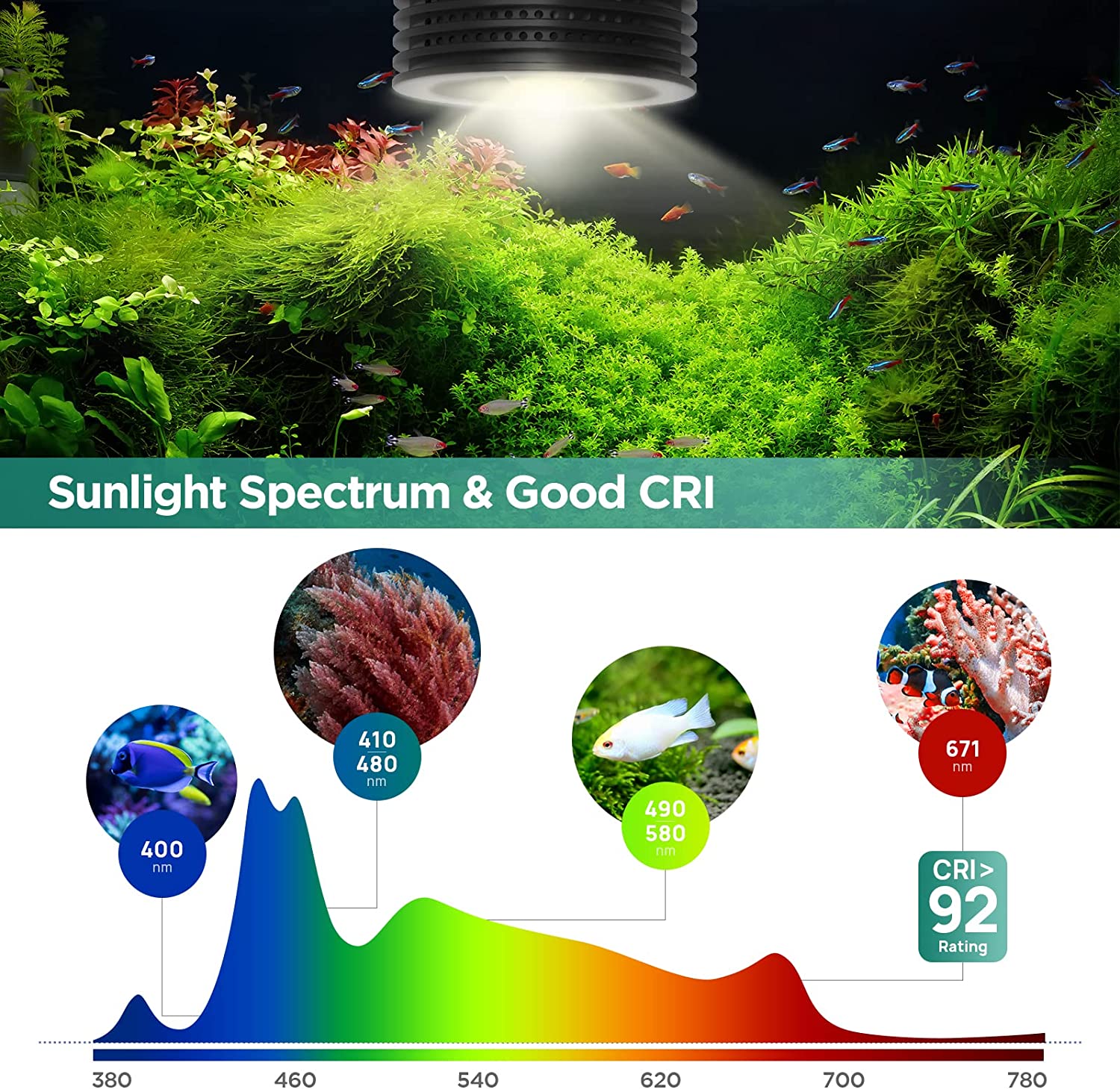 Lominie Asta 20 Freshwater 18W - Refugium Light Nano recensie en prijs