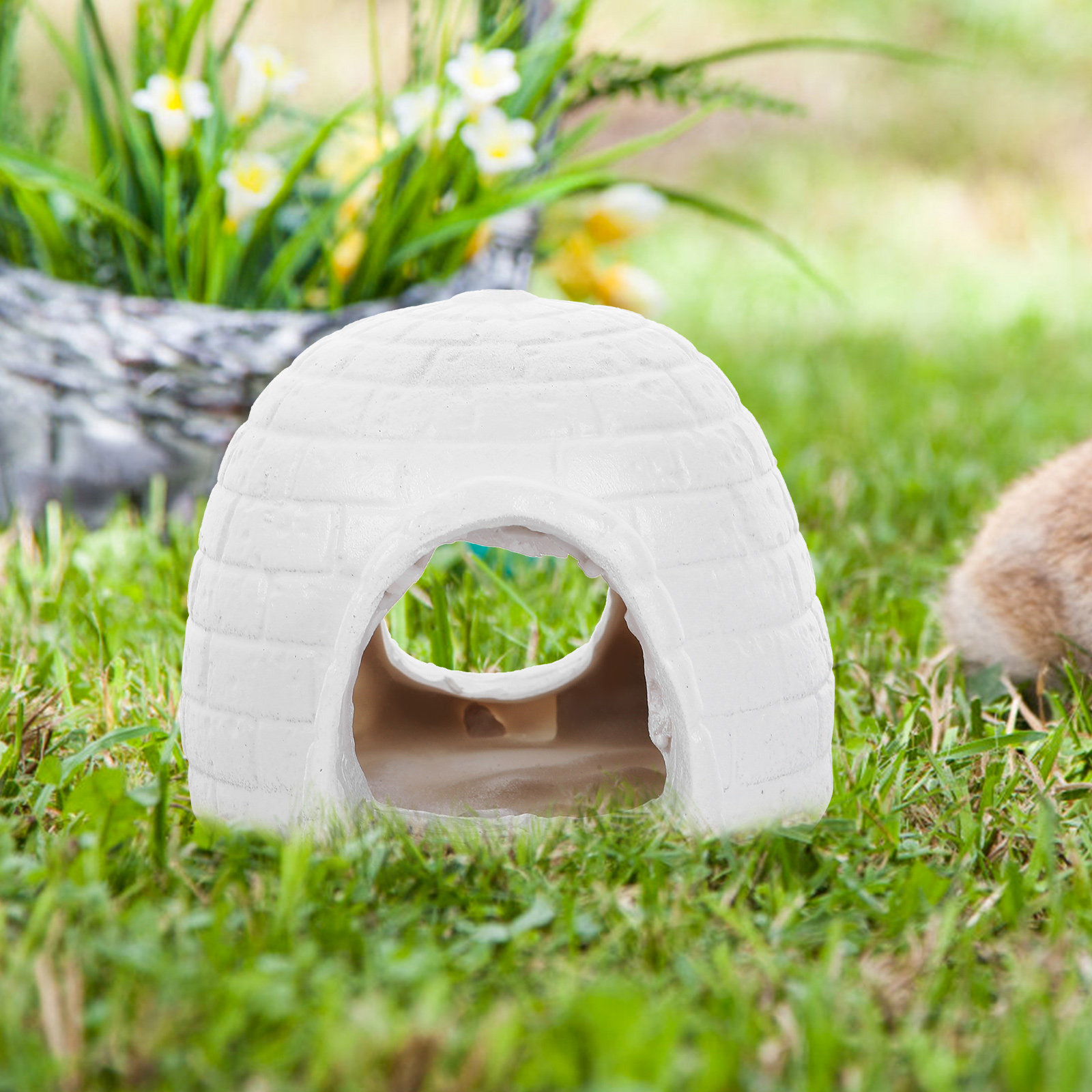 Resin Igloo Fish Tank Ornament - Aquarium Fish Hiding Spot recensie en prijs