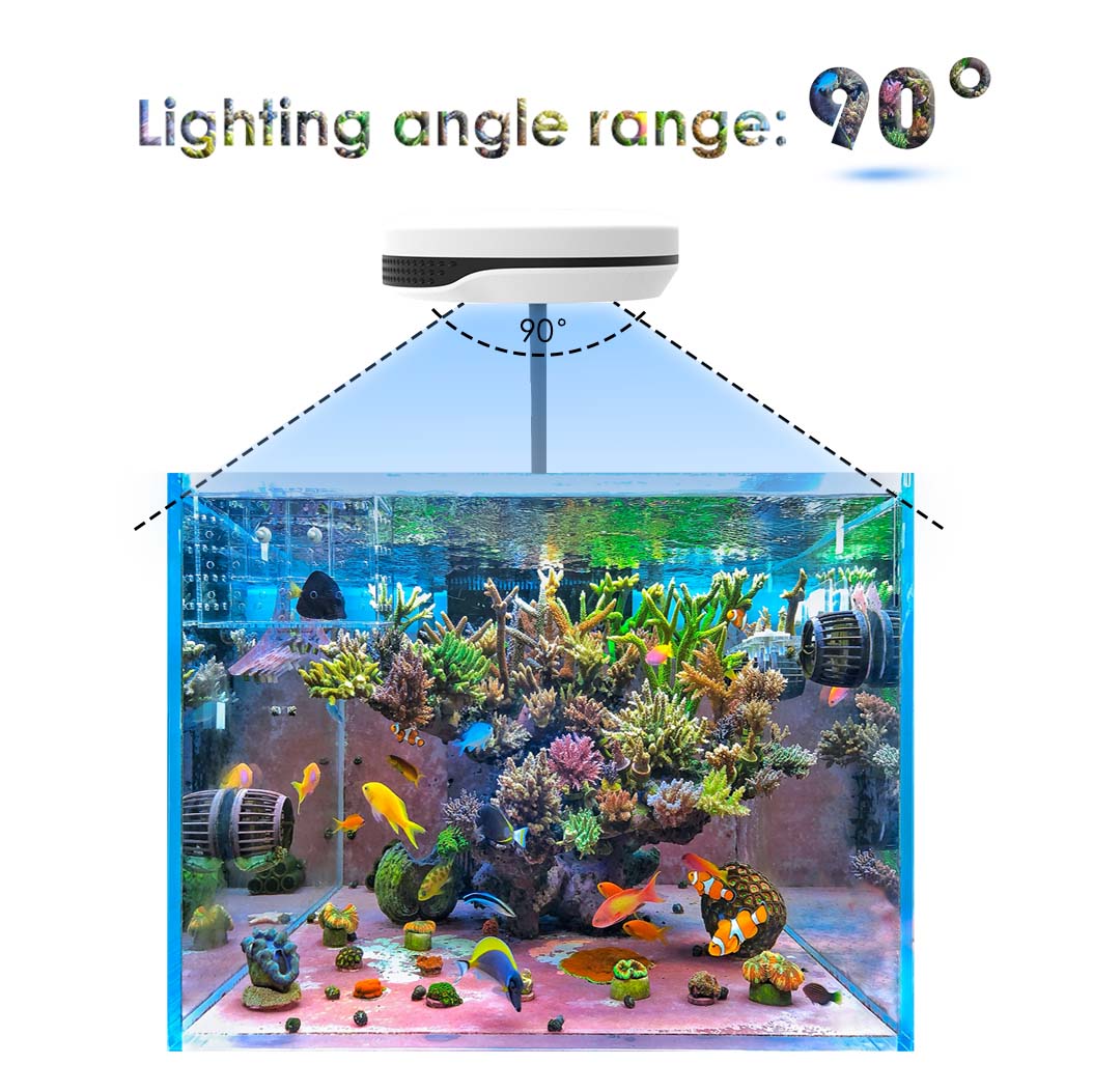 Clip on 20W LED Aquarium Light - Refugium Light Nano recensie en prijs